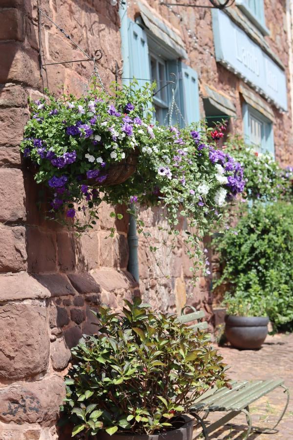 The Lamb Inn Crediton Extérieur photo
